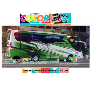 sewa bus medium surabaya