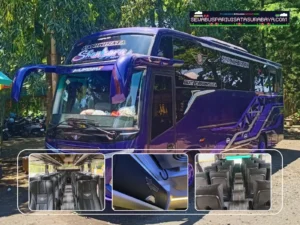 sewa bus medium surabaya